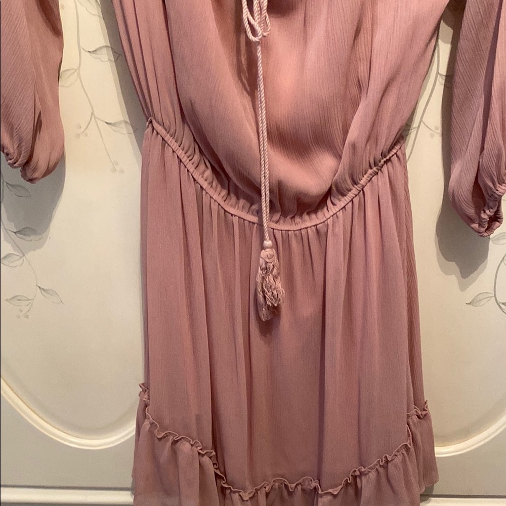 Haute Rogue Blush Ruffle Dress - Picture 4 of 4
